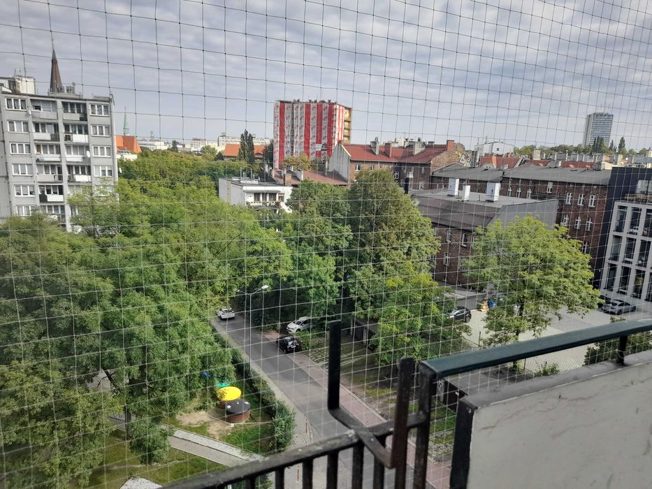 Mieszkanie na wynajem Katowice