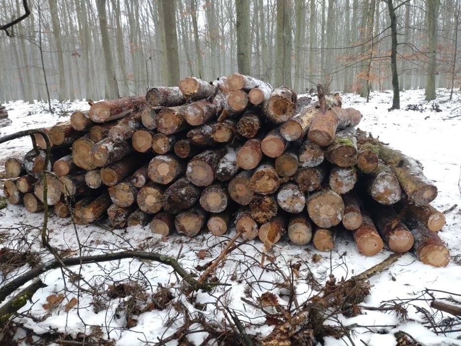 Drewno opałowe Sosna ,Dąb,Brzoza