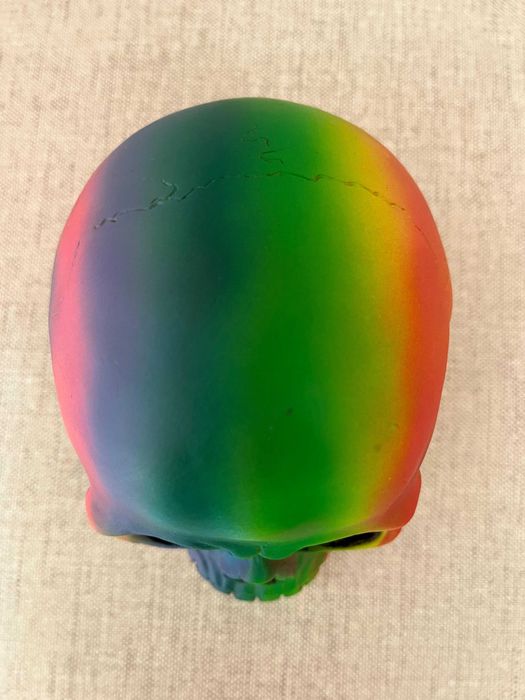 Crânio Decorativo Psicadélico Arco-íris