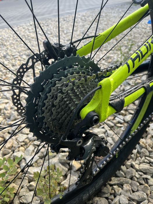 Kellys thorx 30 2019