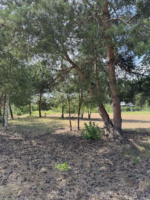 Działka z WZ 1240 m2 + Światłowód / OMIĘCINY (Joniec) / 2 km PKP /Wkra