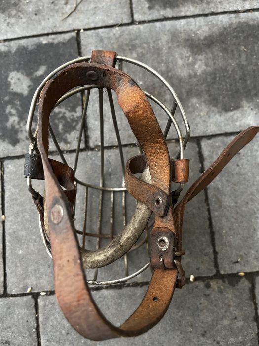 Kaganiec dla psa duzy