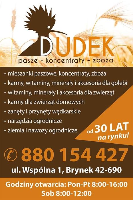 Słonecznik czarny, pasiak, łuskany, worki 20kg