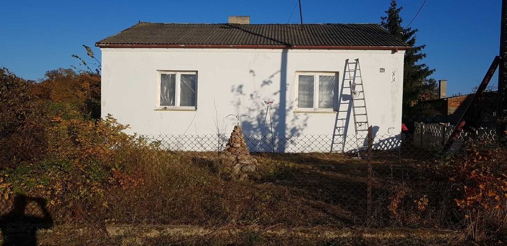 Zdjęcie 8