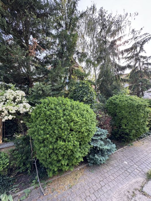 Продажа дома с красивейшим видом на море, Тартус