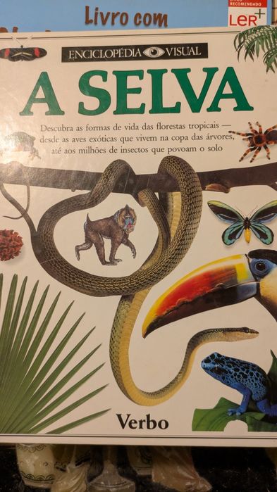 A Selva texto de Theresa Greenaway