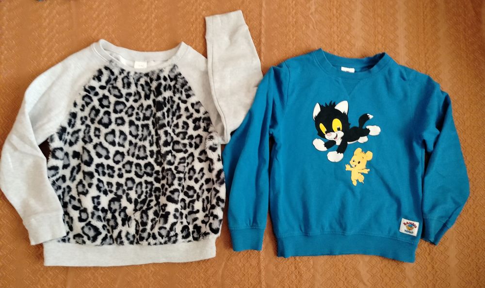 Fajny zestaw ubrań dla dziewczynki/Sukienki, bluzy, spodnie, kurtka