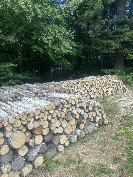 Drzewo opałowe do kominka i pieca