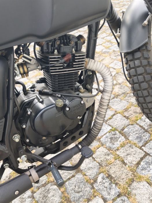 Mutt Akita Full black
