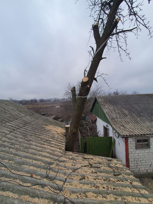 Професійна зрізка дерев та благоустрій ділянок корчування,вивіз.