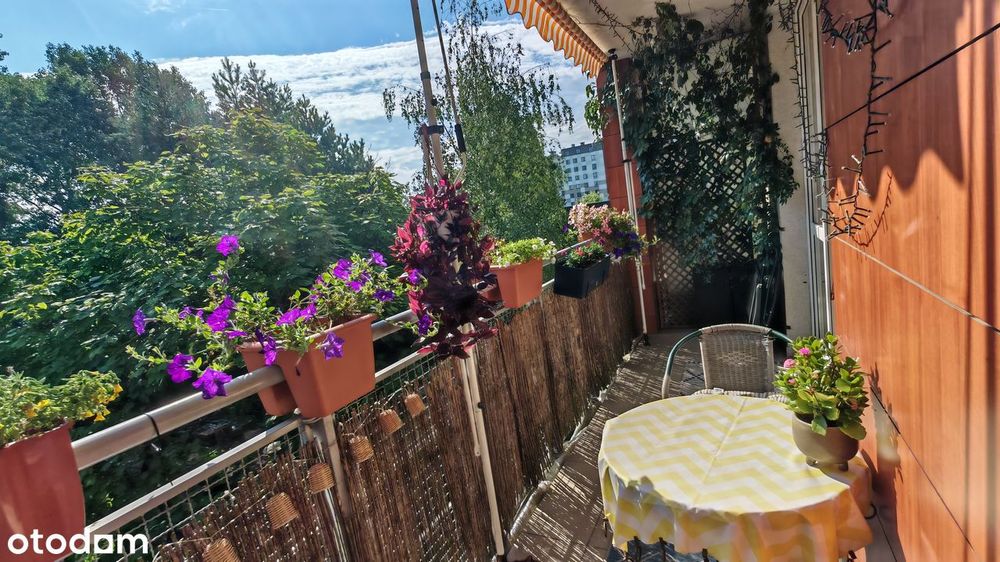 Przestronne 3 pokoje na Bemowie ul. Dywizjonu 303