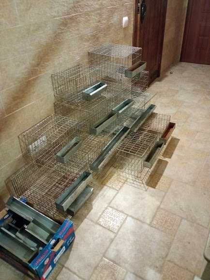 Клетки для перепелов