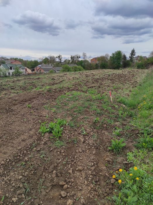 Ділянка Куликів Гребінці