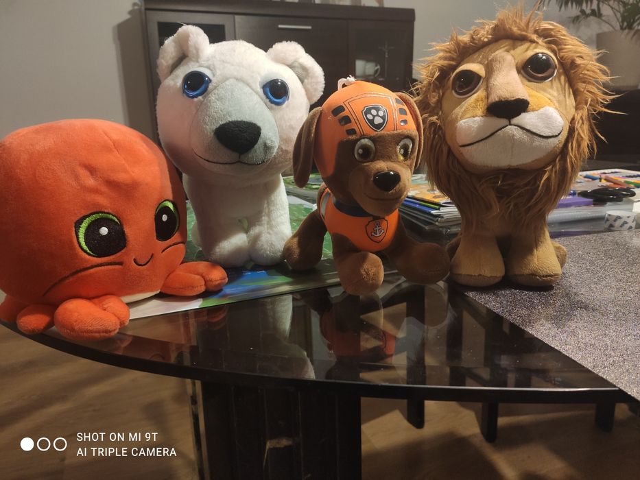 Pluszaki Zuma, Rak Romek i inne