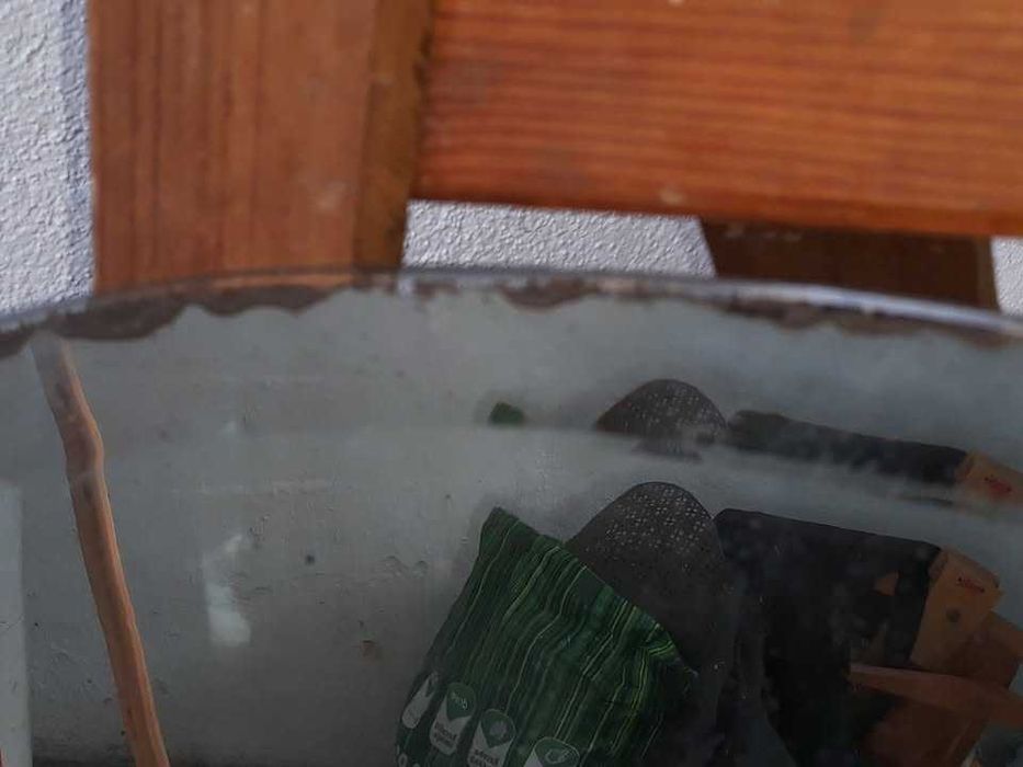 Antigo espelho Oval biselado Anos 50