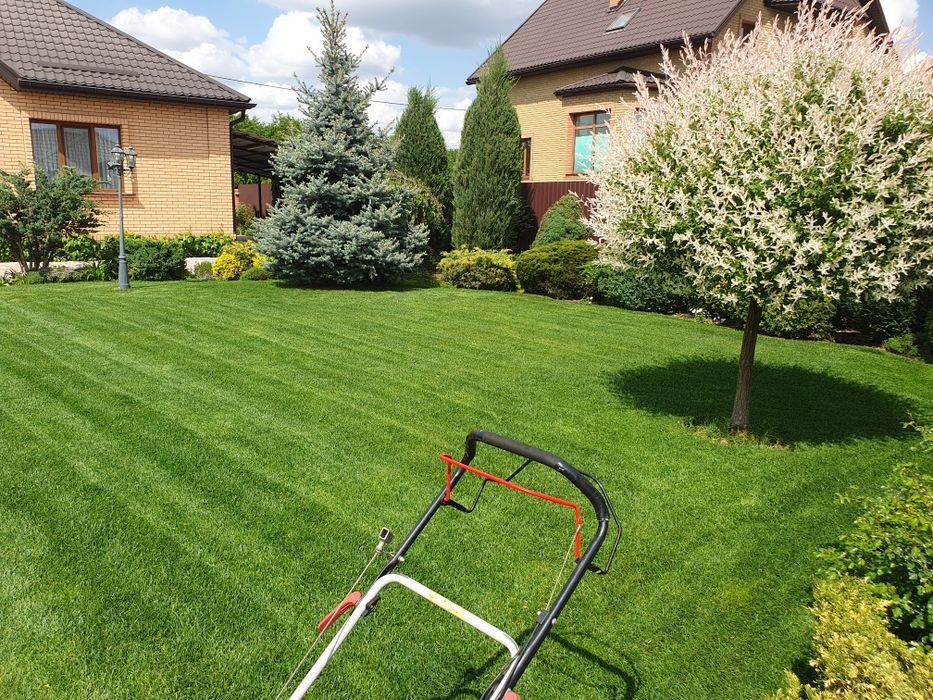 Покос газону та трави, спилювання дерев, послуги садівника!