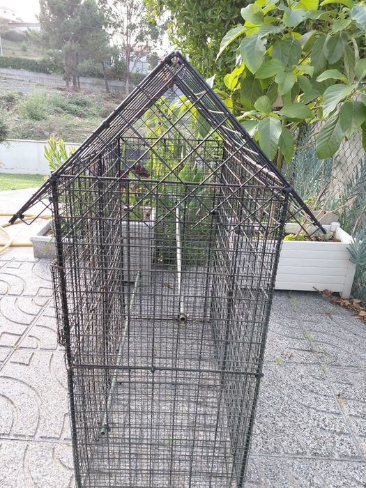 Gaiola para aves