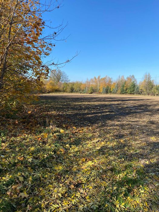 Działka budowlana Biedrzychowice (media, przy drodze asfaltowej)