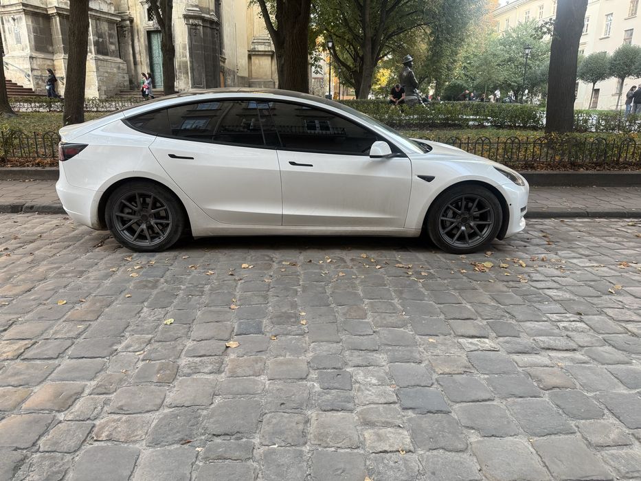 Тесла 3 Standard Range Plus