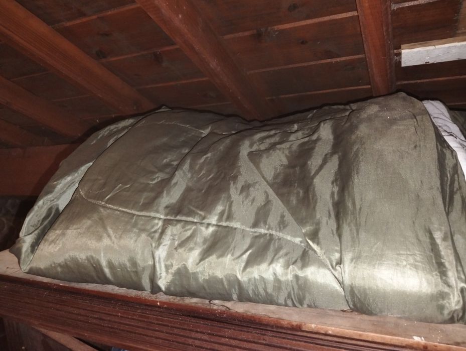Sacos de cama campismo