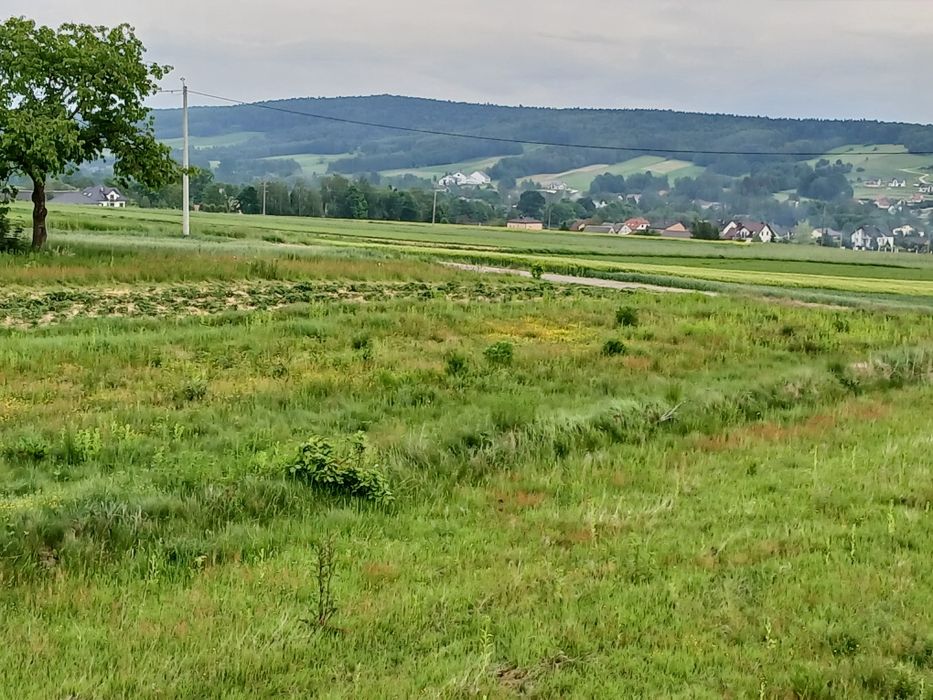 Działka budowlana  w malowniczym miejscu