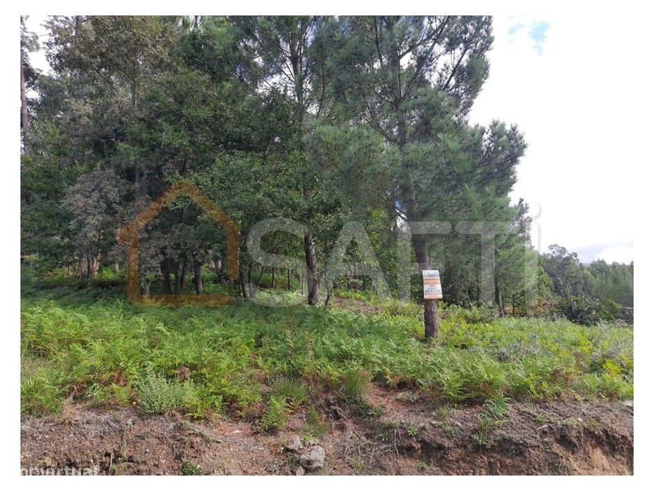 Terreno de aptidão construtiva — Vila E Roussas, Viana do Castelo