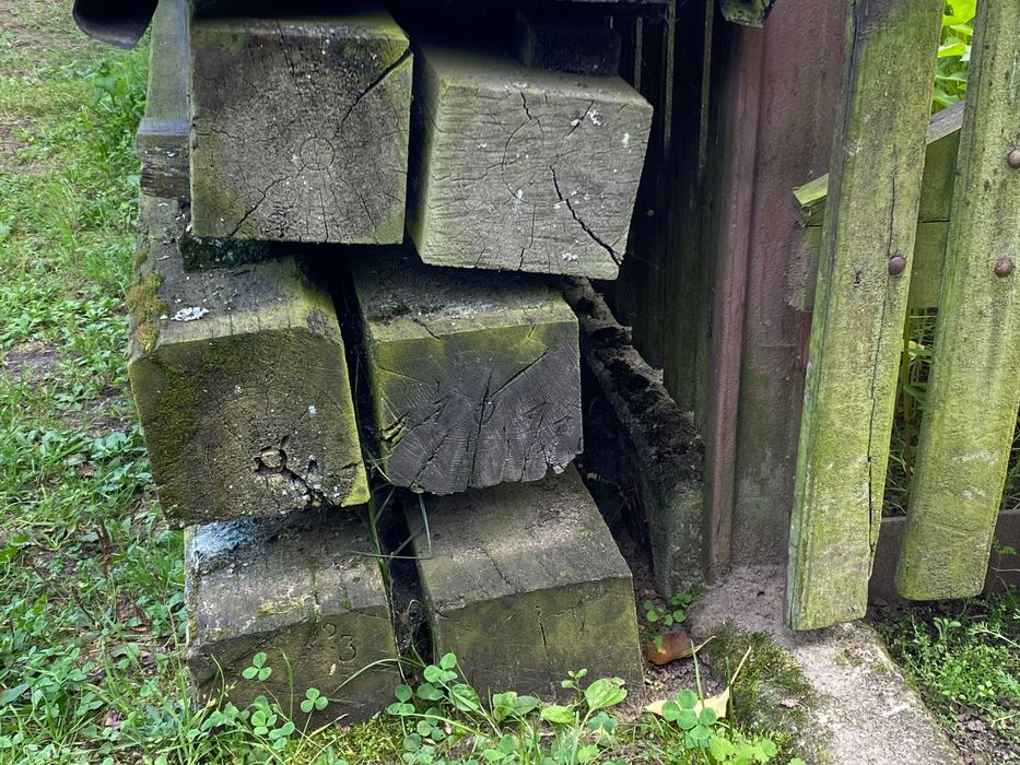 belki ze słupów energetycznych