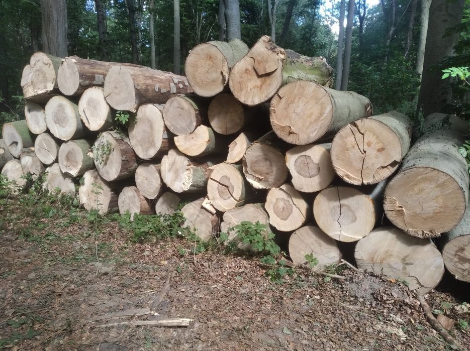 Drewno opałowe kominkowe  Buk Jesion Sezonowane ***SUCHE*** UKŁADANE !