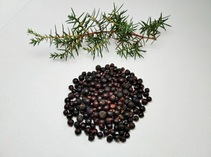 Сушені ягоди ялівцю.
