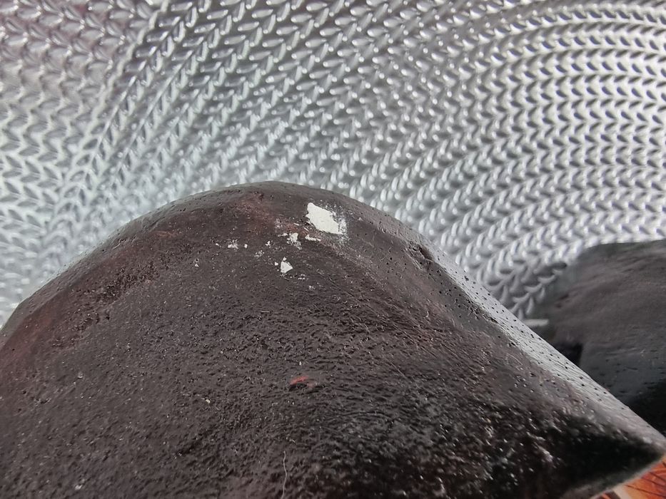 Figurki sowy drewniane sówki stojące ozdobne z drewna Sowa ozdobna