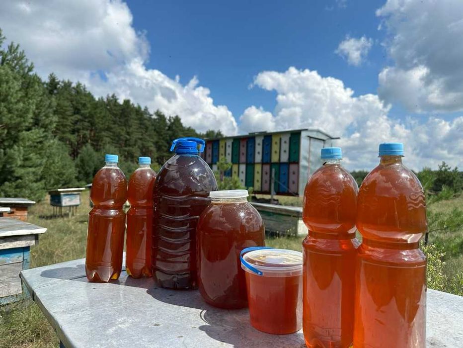 мед, прополіс, пжвм, воскова міль, настойка підмору, бджолопакети