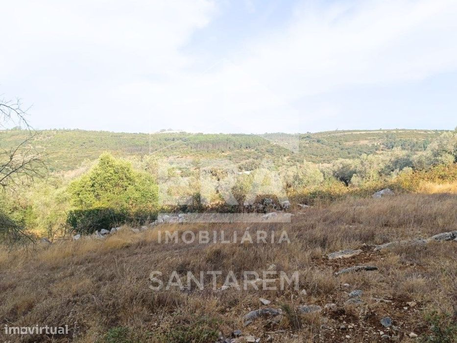 Moradia em Pedra com Vista Panorâmica