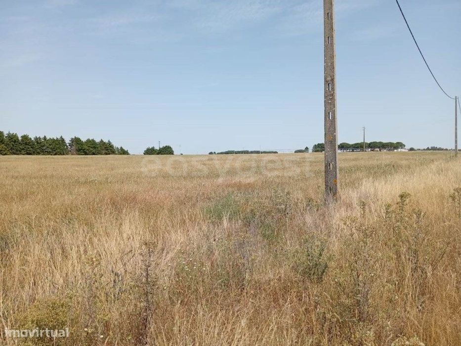 Terreno Rústico com Armazém Agrícola