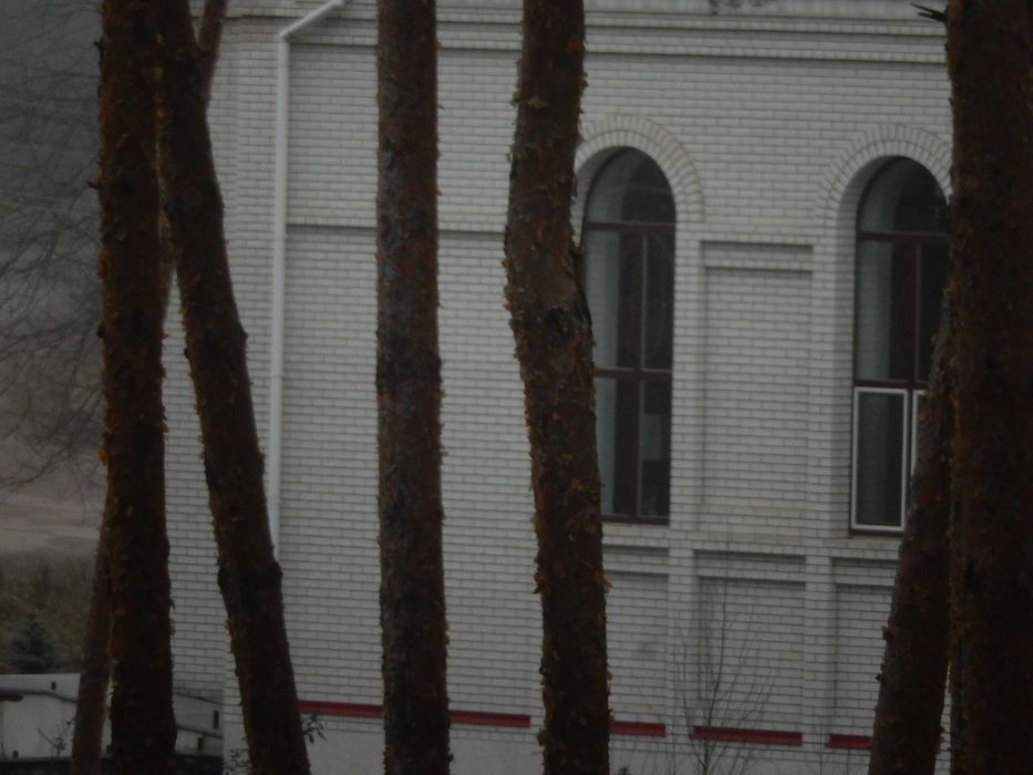 Фотоаппарат Nikon Coolpix S9600