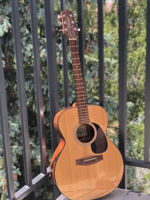 Gitara Takamine G220