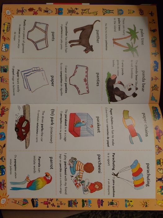 Livro dicionário inglês ilustrado