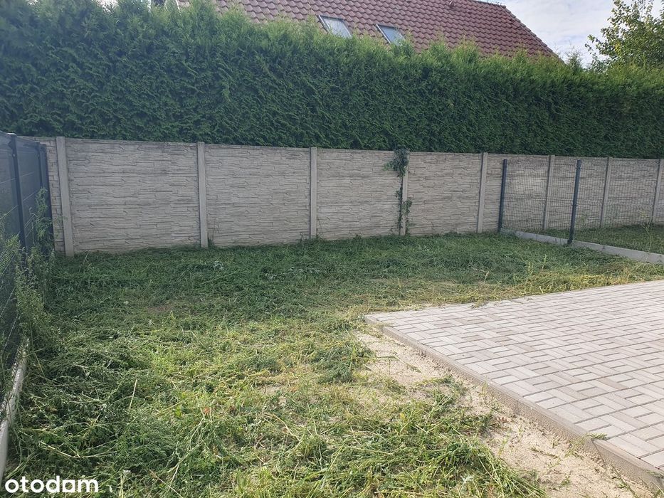 Zdjęcie 4