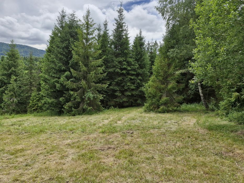 Dzialka Glinka -Smerekow Maly 30a