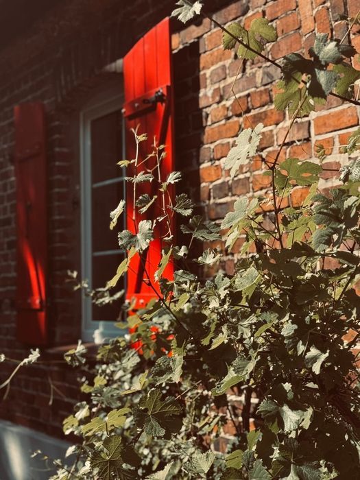 Domek wakacyjny. Dom, domek w lesie. Hetmanów koło Ostrowa Wlkp,