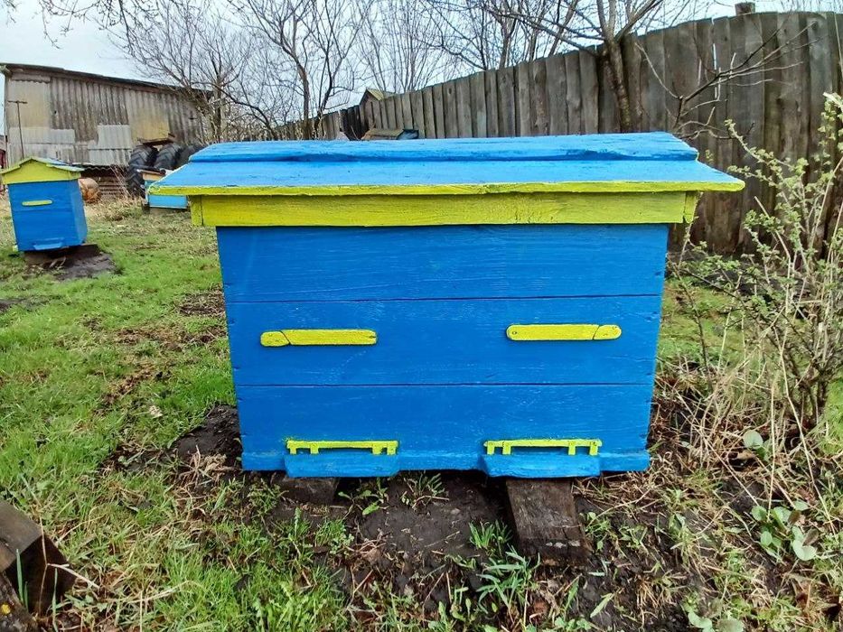 Лежак український 20 рамок