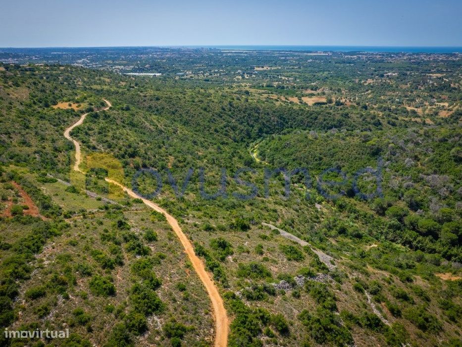 Terreno Rústico com 6000m2 com Vista Panorâmica sobre o Campo e o M...