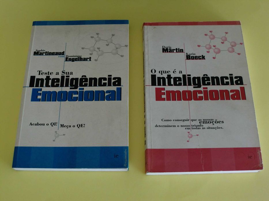 A Inteligência Emocional