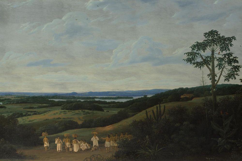 Plakat 91,5x61  Brazylijski krajobraz Frans Post