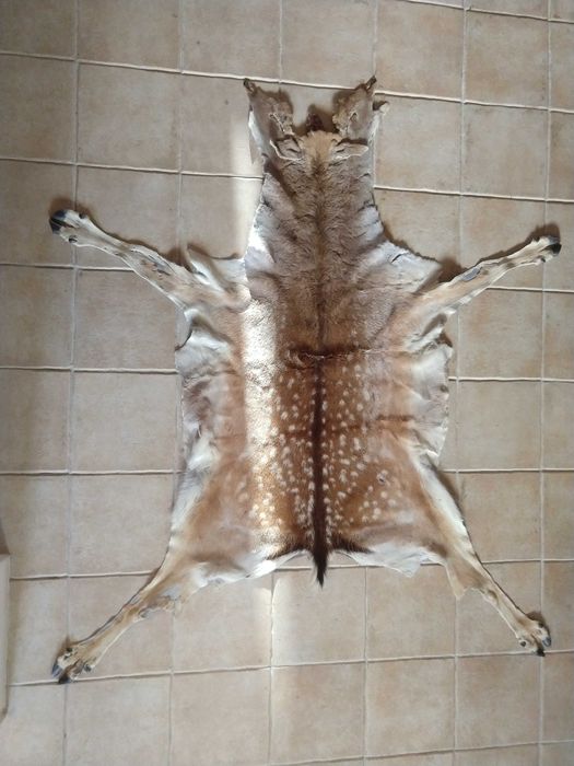 PELES De Coleção -  Vaca - Cabra - Gamo - Astrakan -  Raposa e Outras