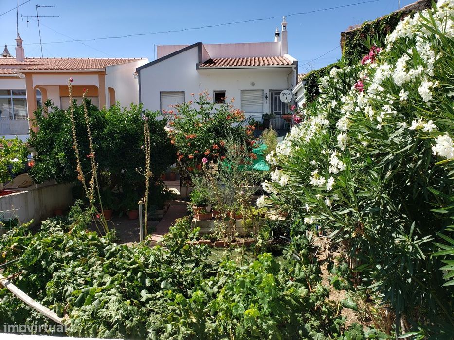 Moradia no Coração de Cachopo | 3 Quartos | Jardim | Lote de 247 m²