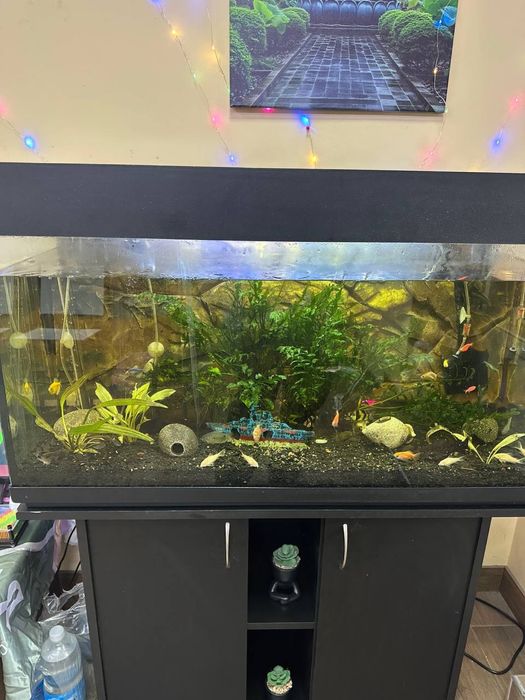 Продам аквариум (комплектом все как на фото)