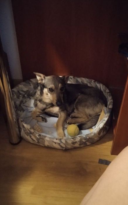 Oddam Kubę za darmo