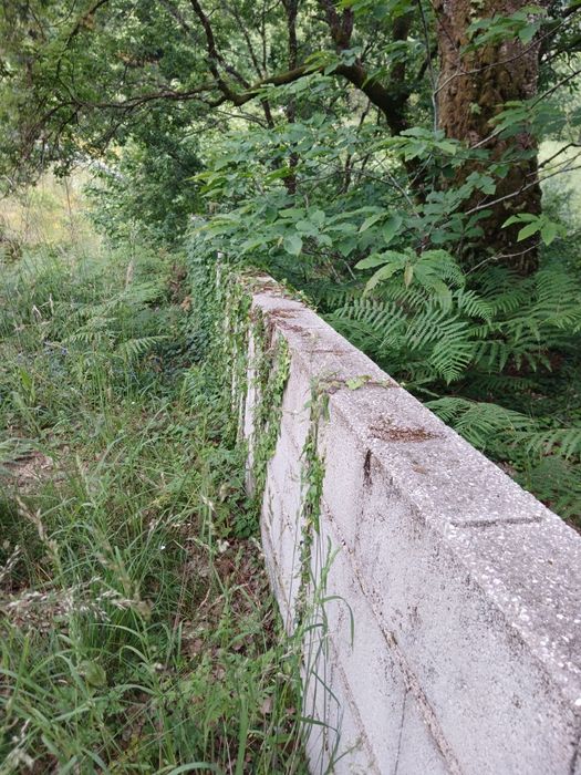 Vendo terreno com ruina para construir.
