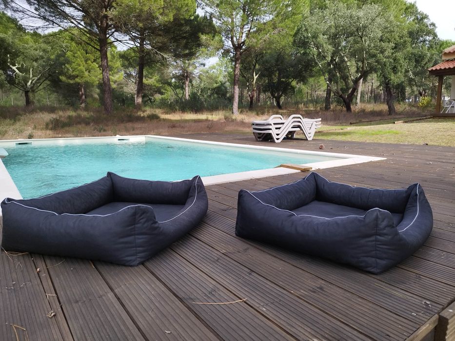 Cama para Cão Luben Xtrem