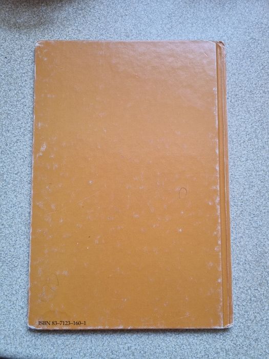 Kubuś Puchatek i Kłapouchy książka